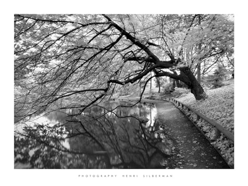 Framed Japanese Garden by Henri Silberman | 23 1/2 x 31 1/2