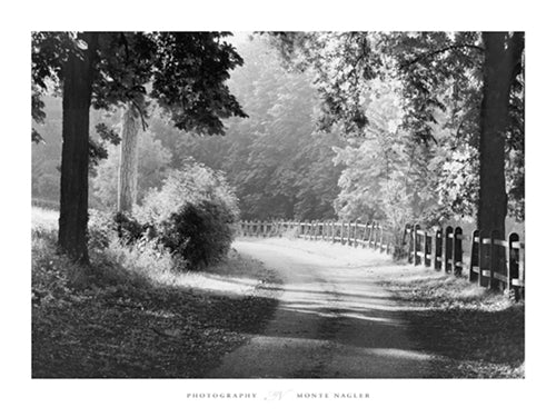 Path Into the Woods, Burgundy, France Art Print by Monte Nagler - Serene Forest Wall Art Decor