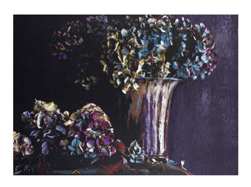 Hydrangea Art Print by Jenny Dreifuss - Floral Wall Décor 23.5 x __ Inches