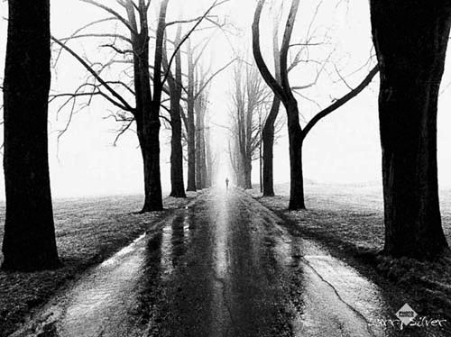 Jogger by Larry Silver Wall Art Décor 23 1/2 x 31 1/2 Art Print