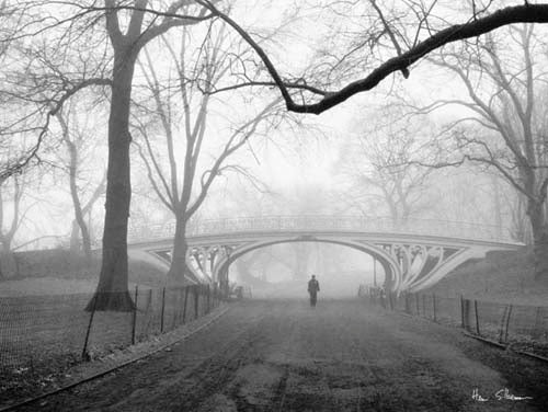 Framed Gothic Bridge, Central Park, NYC by Henri Silberman