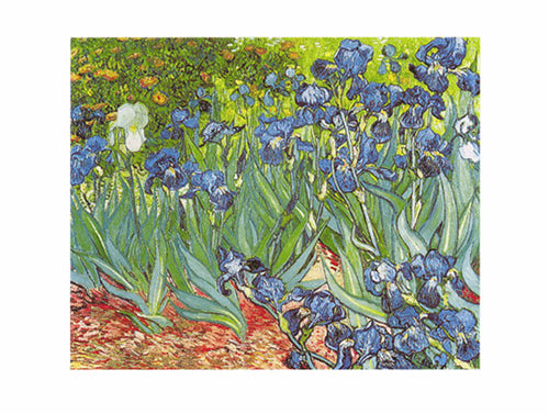 Les Iris by Vincent van Gogh - Floral Masterpiece Wall Art Print, 23.5 inches