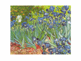 Les Iris by Vincent van Gogh - Floral Masterpiece Wall Art Print, 23.5 inches