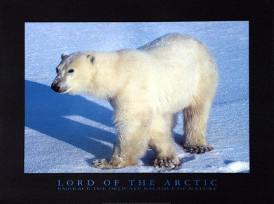 Lord of the Arctic by Lankinen - Majestic Polar Bear Art Print for Home & Office Decor