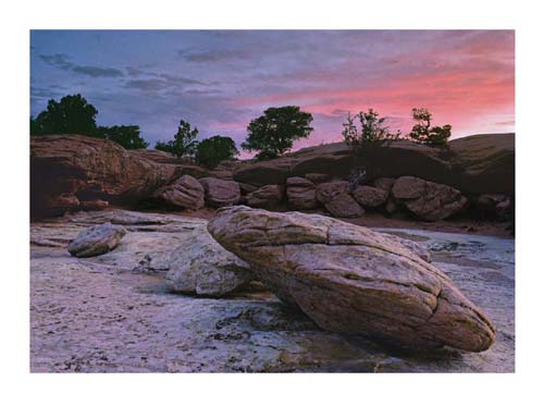 South Rim, Canyon de Chelly by Hank Gans Wall Art Décor 23 1/2 x 31 1/2 Art Print