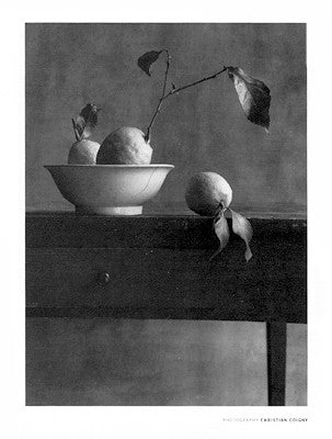 Cote Sud by Christian Coigny Wall Art Décor 31 1/2 x 23 1/2 Art Print