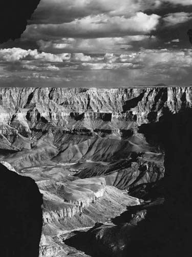 Framed Grand Canyon National Park by Monochrome Gallery | 31 1/2 x 23 1/2 ...