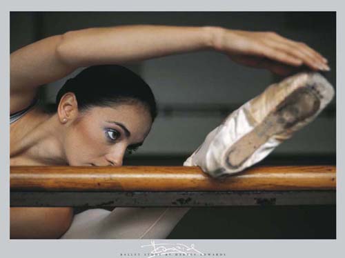 Intensity by Harvey Edwards Wall Art Décor 23 1/2 x 31 1/2 Art Print