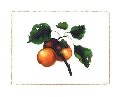 Goldmine Nectarine by Morgan Kari Wall Art Décor 9 1/2 x 11 3/4 Art Print