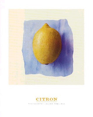 Citrone by Julyan Rawlings Wall Art Décor 11 3/4 x 9 1/2 Art Print