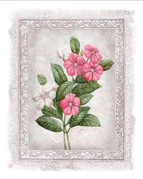 Flowers of Spring III by Tom Wood Wall Art Décor 11 3/4 x 9 1/2 Art Print