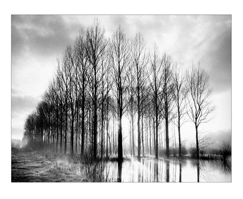 Framed Trees in Normandy by Bill Philip | 9 1/2 x 11 3/4