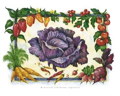 Cabbage by Monika Broeske Wall Art Décor 9 1/2 x 11 3/4 Art Print
