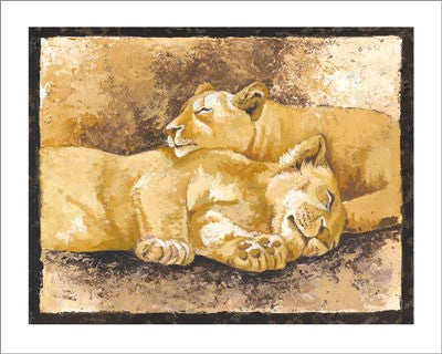 Sleeping Lions by Philippe Genevrey Wall Art Décor 9 1/2 x 11 3/4 Art Print