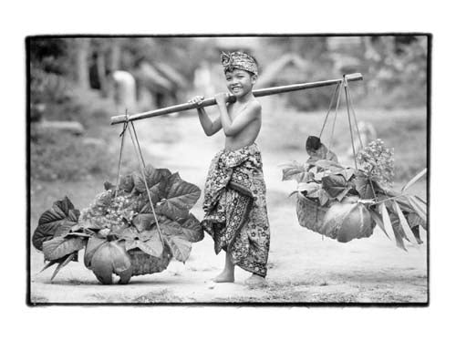 Bali III by Kim Anderson Wall Art Décor 9 1/2 x 11 3/4 Art Print