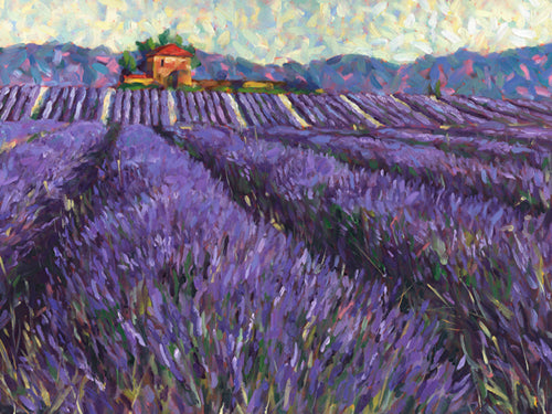 Lavender Fields I by Lorraine Westwood Wall Art Décor 9 1/2 x 11 3/4 Art Print