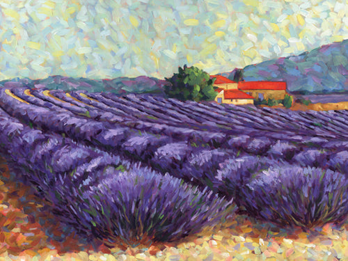 Lavender Fields II by Lorraine Westwood Wall Art Décor 9 1/2 x 11 3/4 Art Print