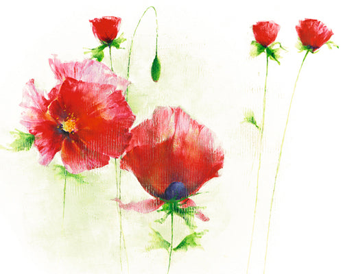 Red Poppies I by Andrea Fontana Wall Art Décor 9 1/2 x 11 3/4 Art Print