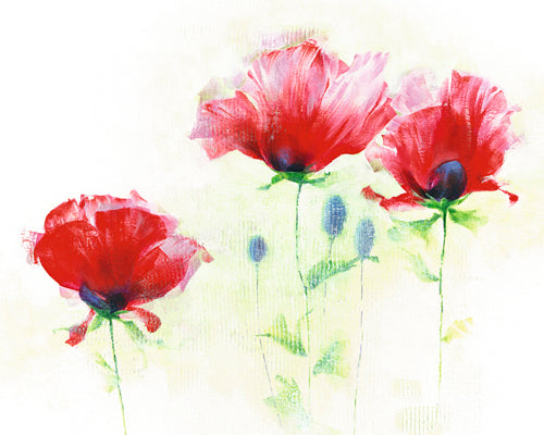 Red Poppies II by Andrea Fontana Wall Art Décor 9 1/2 x 11 3/4 Art Print