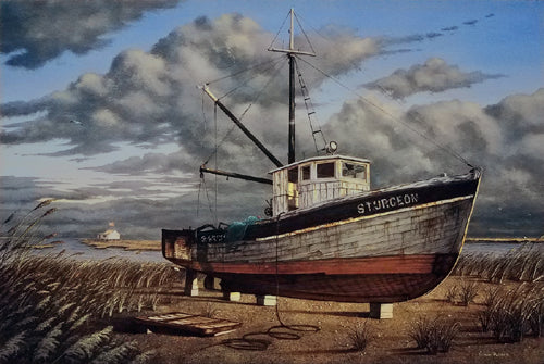 Sturgeon by Daniel Pollera Wall Art Décor 22 ¼ x 29 ¾ Art Print