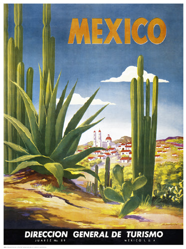 Cacti, Mexico by Anon Wall Art Décor 24 3/8 x 18 Art Print