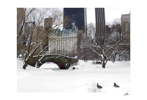 Love Bridge in Central Park, Winter by Igor Maloratsky Wall Art Décor 13 x 19 Art Print
