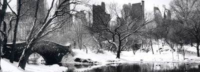 Love Bridge in Central Park, Winter Panorama by Igor Maloratsky Wall Art Décor 13 x 19 Art Print