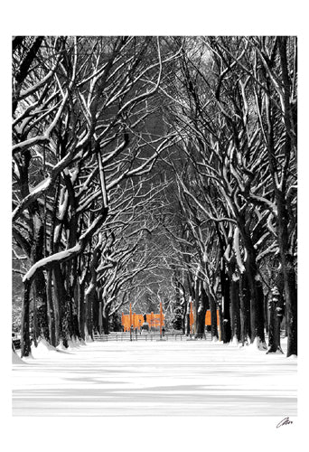 The Gates & Tree Path, Central Park by Igor Maloratsky Wall Art Décor 19 x 13 Art Print
