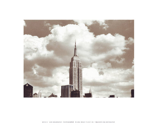 Empire State Building by Igor Maloratsky Wall Art Décor 8 x 10 Art Print