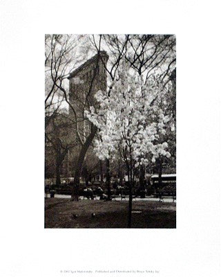 Flatiron Building, Spring by Igor Maloratsky Wall Art Décor 10 x 8 Art Print