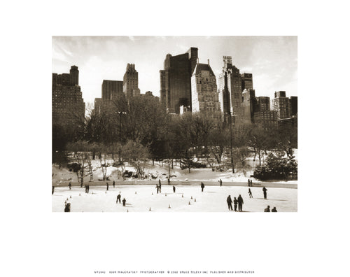 Wollman Rink by Igor Maloratsky Wall Art Décor 8 x 10 Art Print