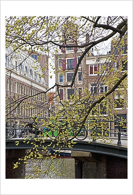Framed Spring in Amsterdam by Igor Maloratsky | 19 x 13