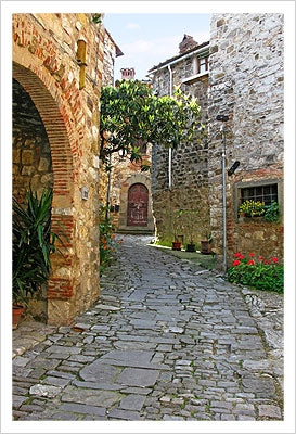 Framed Path through Montefiorale by Igor Maloratsky | 19 x 13