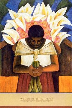 Woman of Tehuantepec by Fernando Diaz Wall Art Décor 36 x 24 Art Print
