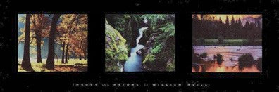 Images From Nature II by William Neill Wall Art Décor 12 x 36 Art Print