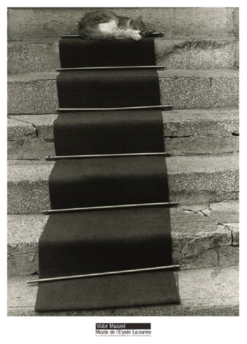 Red Carpet Cat, Montmartre, Paris, 1988 by Victor Macarol Wall Art Décor 27 5/8 x 19 3/4 Art Print