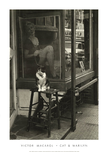 Framed Cat & Marilyn, Thompson St, NYC, 1988 by Victor Macarol
