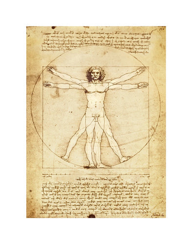Framed Vitruvian Man, 1492 by Leonardo da Vinci | 14 x 11