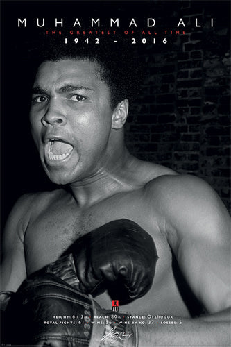 Framed Muhammad Ali: The Greatest of All Time Commemorative 