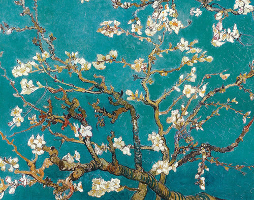 Framed Almond Branches in Bloom, 1890 by Vincent van Gogh | 11 x 14
