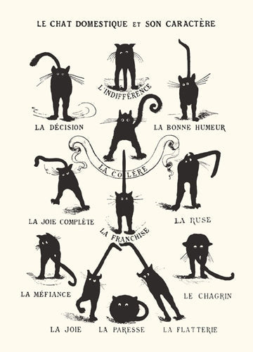 Framed Le Chat Domestique 14 x 11