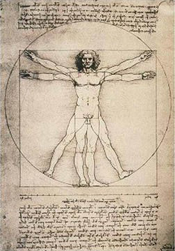 Universal Man by Leonardo da Vinci Wall Art Décor 31 1/2 x 23 5/8 Art Print