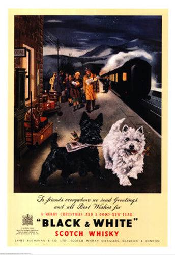 Black & White Scotch Whisky Scottie by Anon Wall Art Décor 51 1/4 x 35 1/2 Art Print