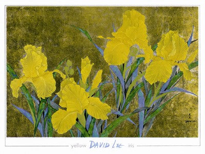 Yellow Iris by David Lee Wall Art Décor 35 1/2 x 47 Art Print