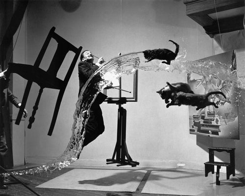 Framed Dali Atomicus, 1948 (Unretouched) by McMahan Photo Archive