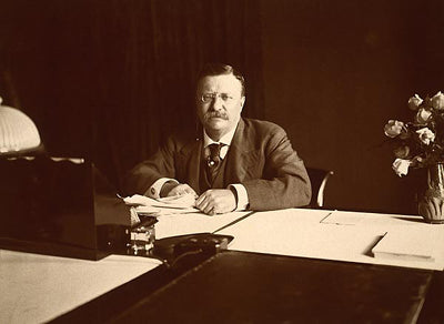 Framed President Theodore Roosevelt Portrait, 1907 by McMahan Photo Archive