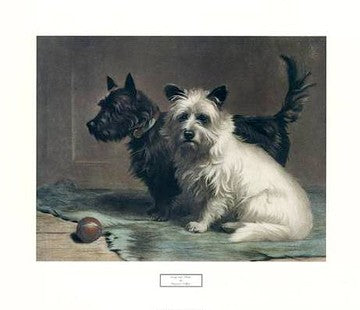 Art Print Scotty and Khaki by Margaret Collyer - Charming Dog Art for Your Home