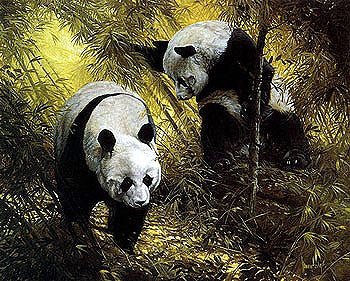 Panda Pair by Spencer Hodge: Captivating Wildlife Art for Your Home