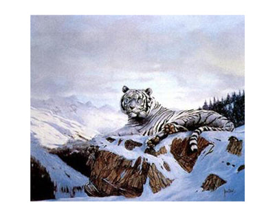 Framed Siberian Tiger by Spencer Hodge | 22 x 28