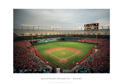Dolphins Stadium Miami Art Print by Ira Rosen | Wall Art Decor